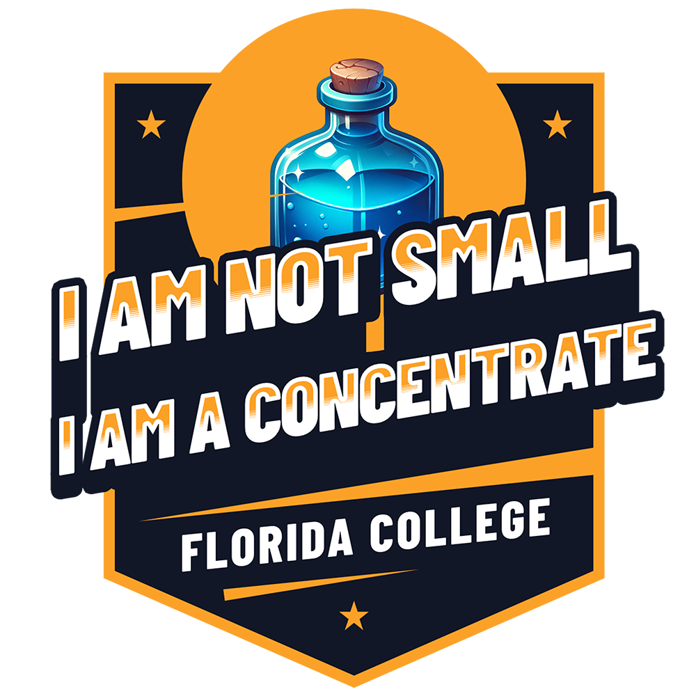 Schweres textilgefärbtes Unisex-T-Shirt - Florida College