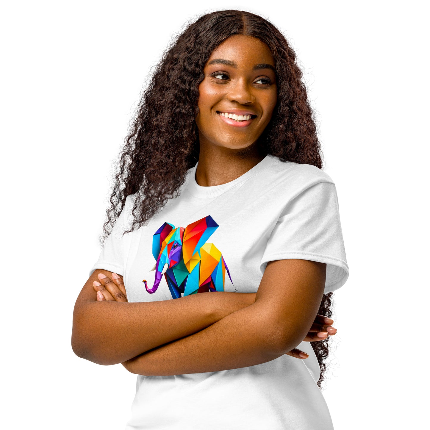 DryBlend® T-Shirt - Origami der bunte Elefant