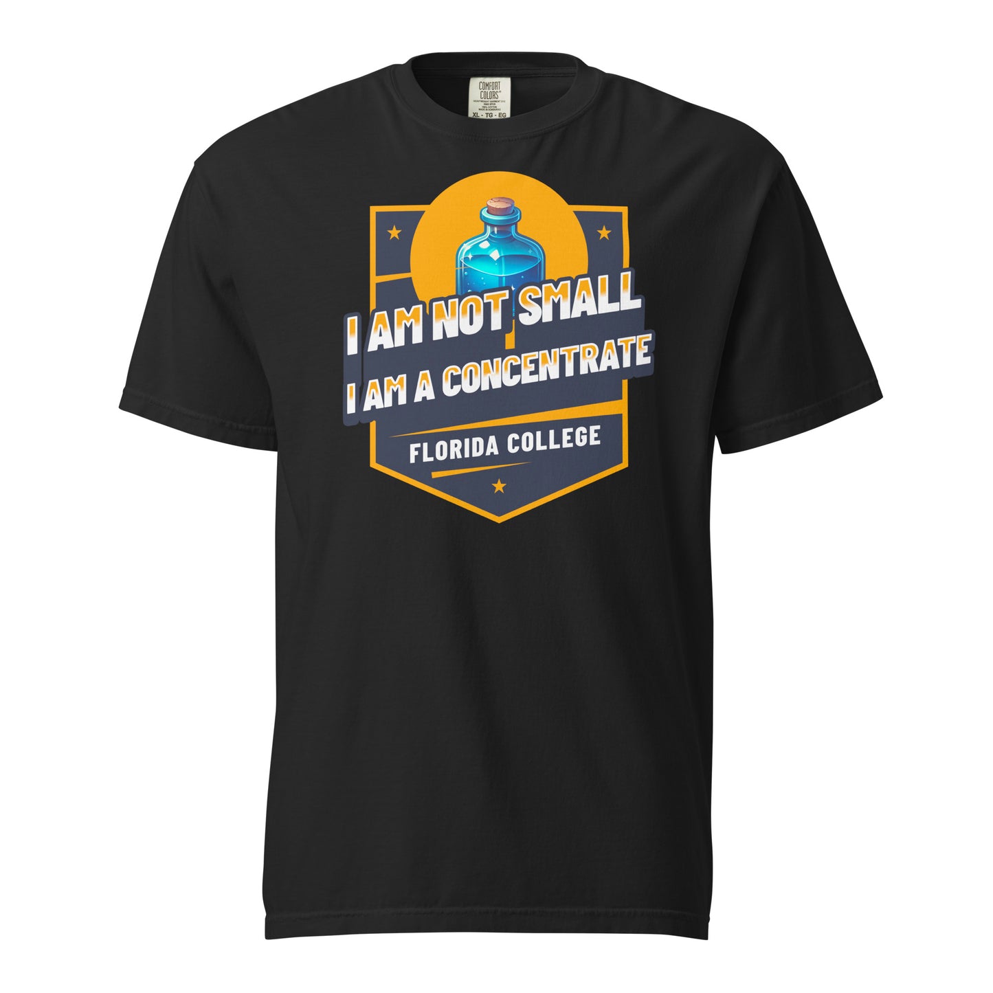 Schweres textilgefärbtes Unisex-T-Shirt - Florida College