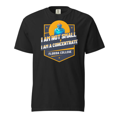 Schweres textilgefärbtes Unisex-T-Shirt - Florida College