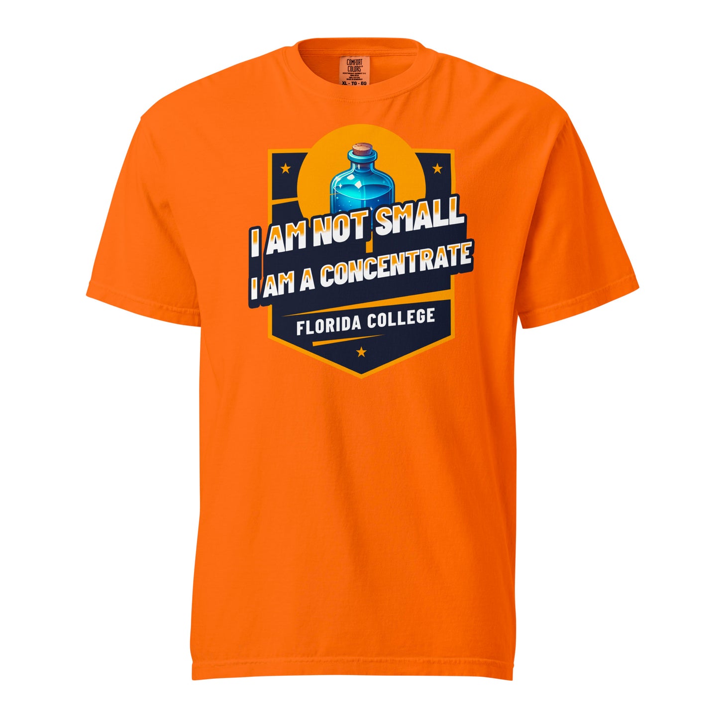 Schweres textilgefärbtes Unisex-T-Shirt - Florida College