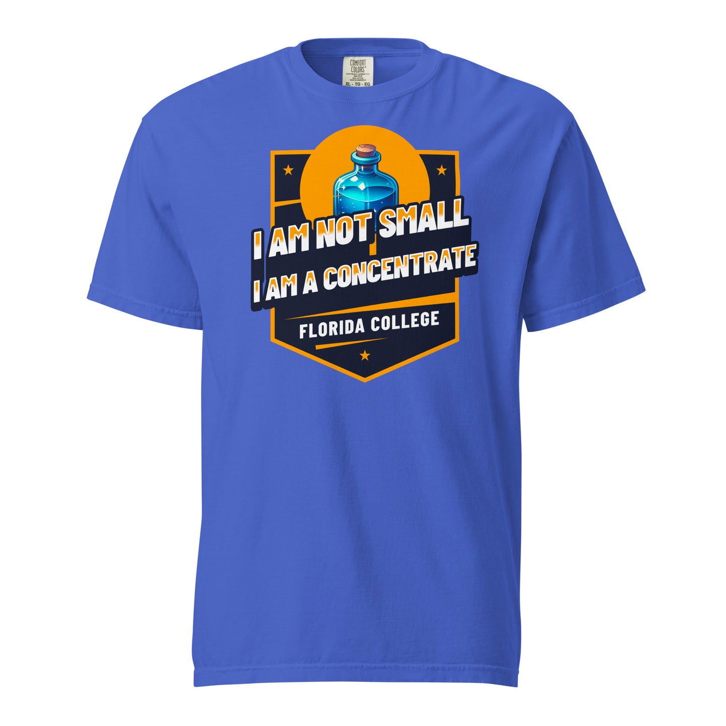 Schweres textilgefärbtes Unisex-T-Shirt - Florida College