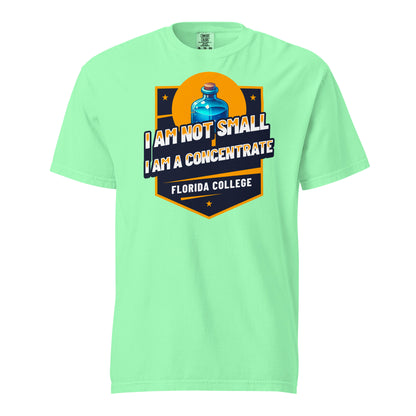 Schweres textilgefärbtes Unisex-T-Shirt - Florida College