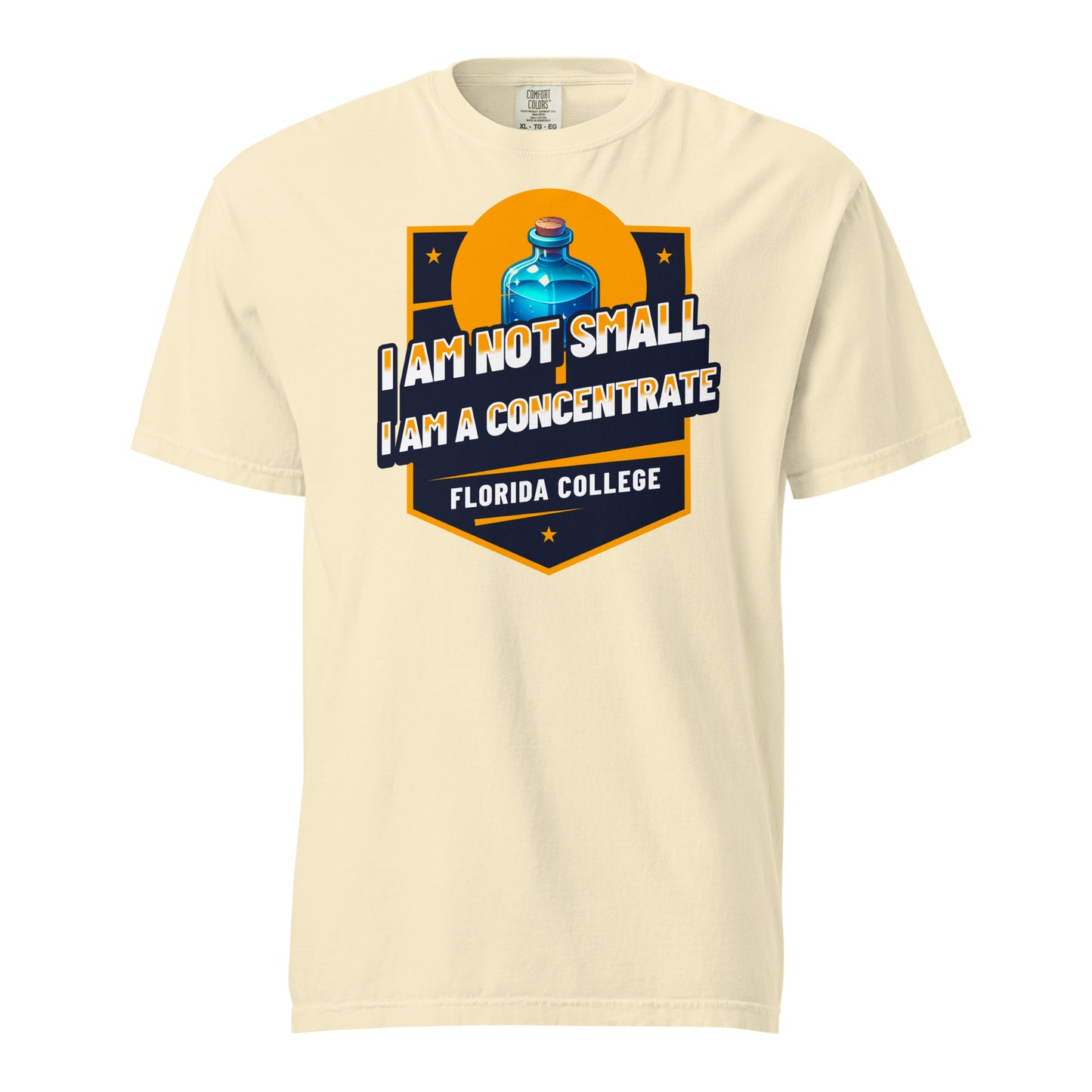 Schweres textilgefärbtes Unisex-T-Shirt - Florida College