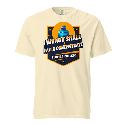 Schweres textilgefärbtes Unisex-T-Shirt - Florida College
