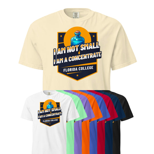 Schweres textilgefärbtes Unisex-T-Shirt - Florida College