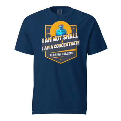 Schweres textilgefärbtes Unisex-T-Shirt - Florida College