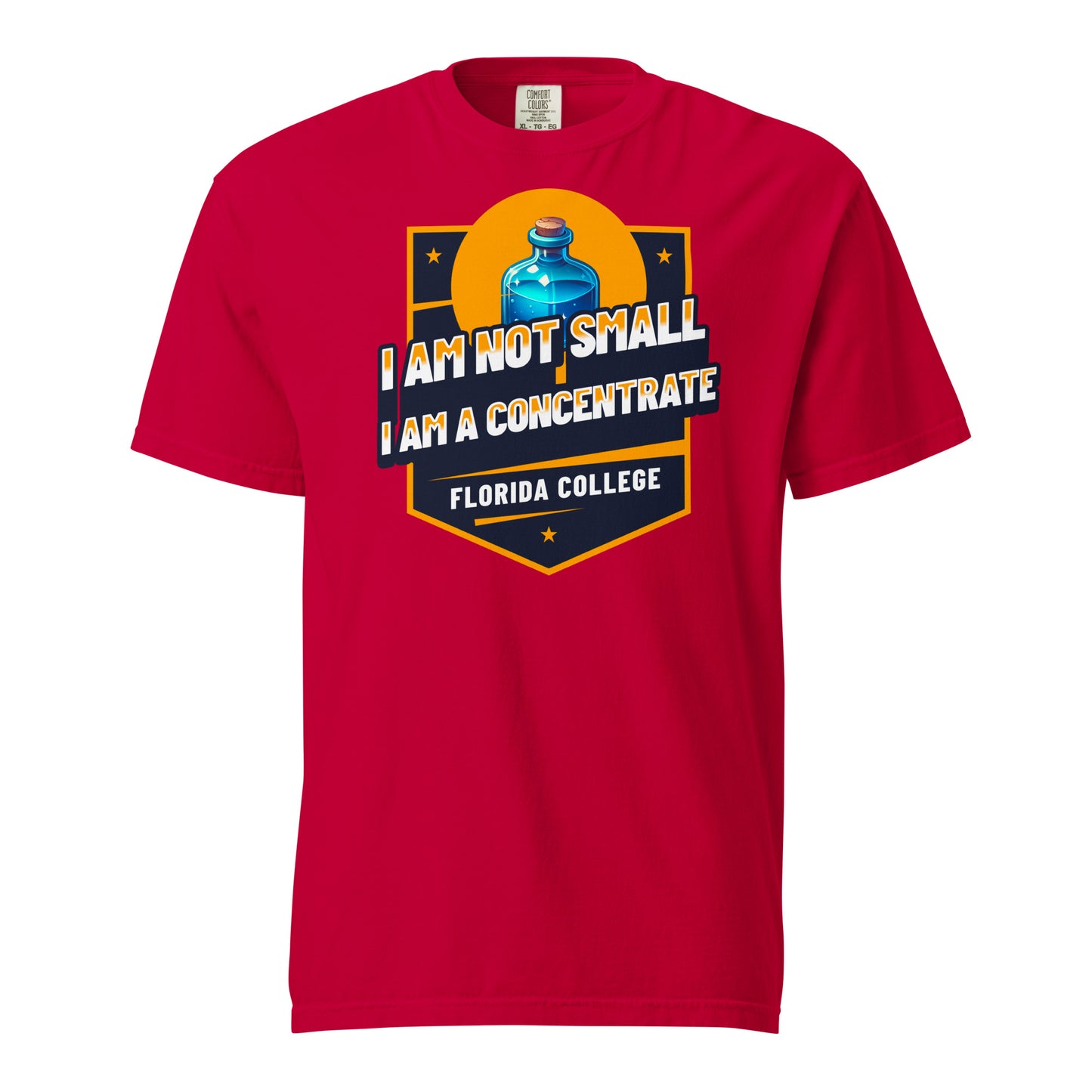 Schweres textilgefärbtes Unisex-T-Shirt - Florida College