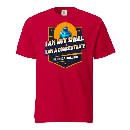 Schweres textilgefärbtes Unisex-T-Shirt - Florida College