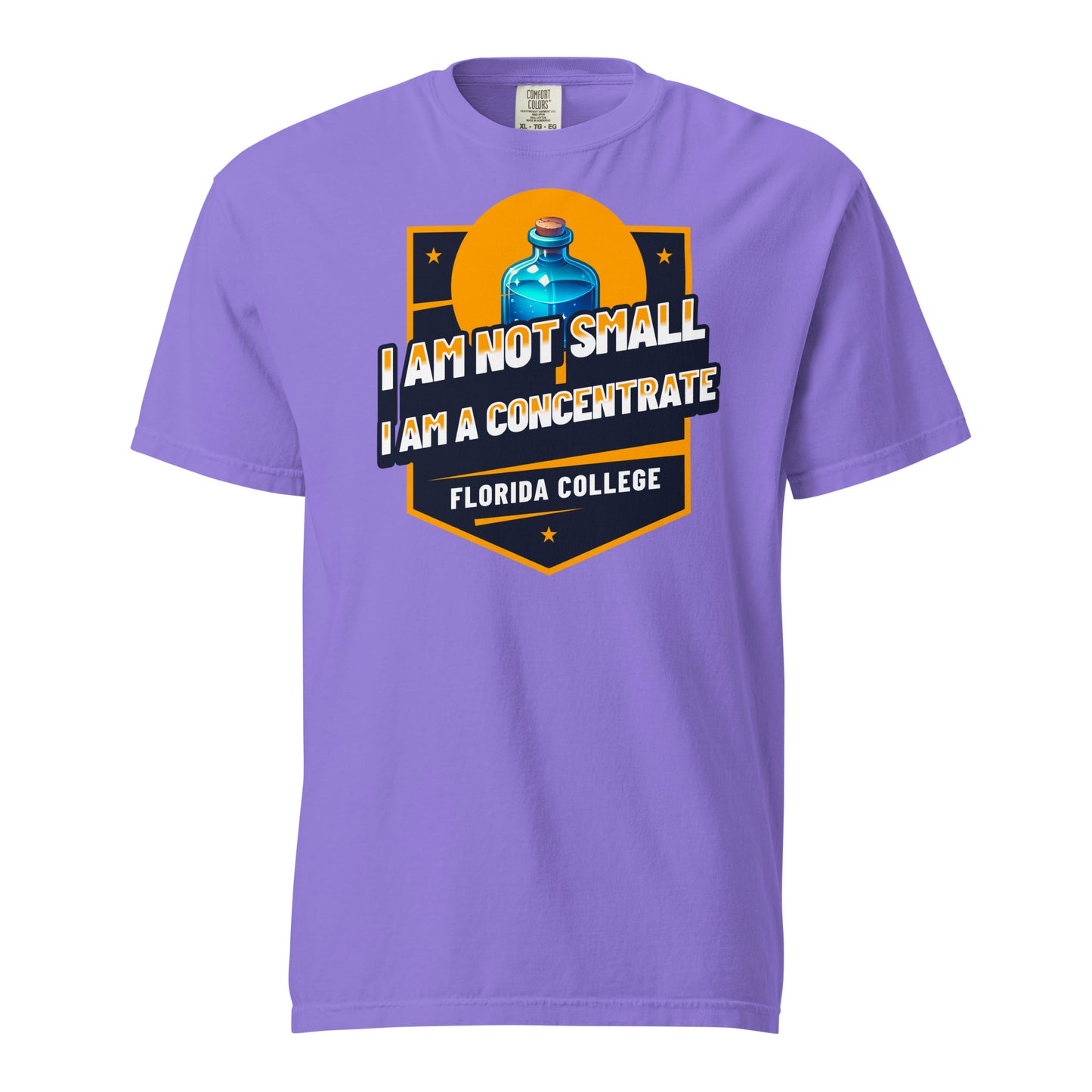 Schweres textilgefärbtes Unisex-T-Shirt - Florida College