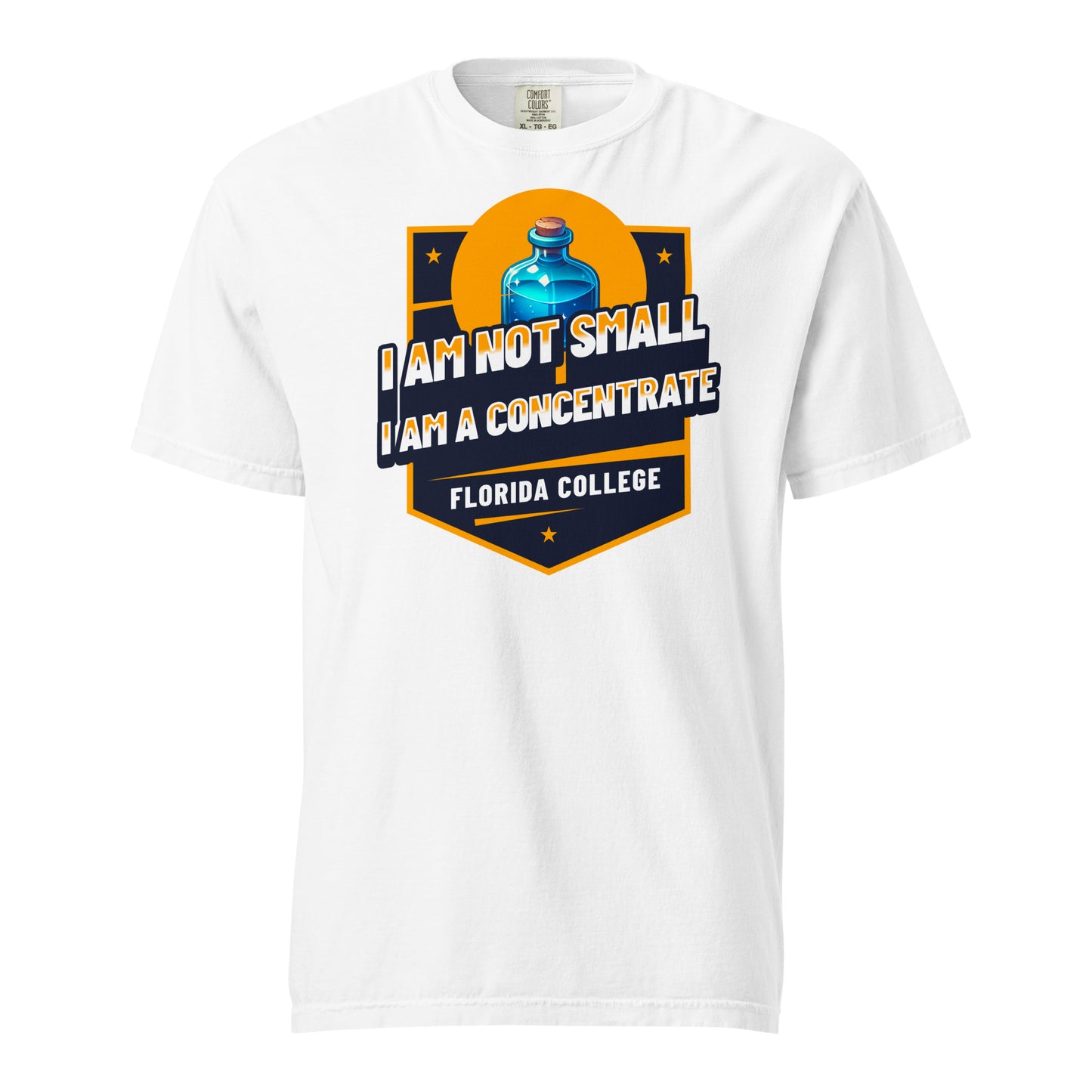 Schweres textilgefärbtes Unisex-T-Shirt - Florida College
