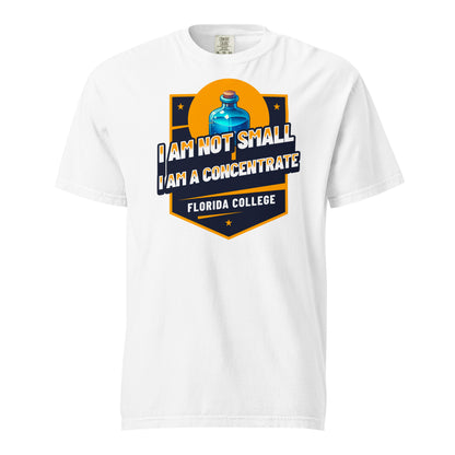 Schweres textilgefärbtes Unisex-T-Shirt - Florida College